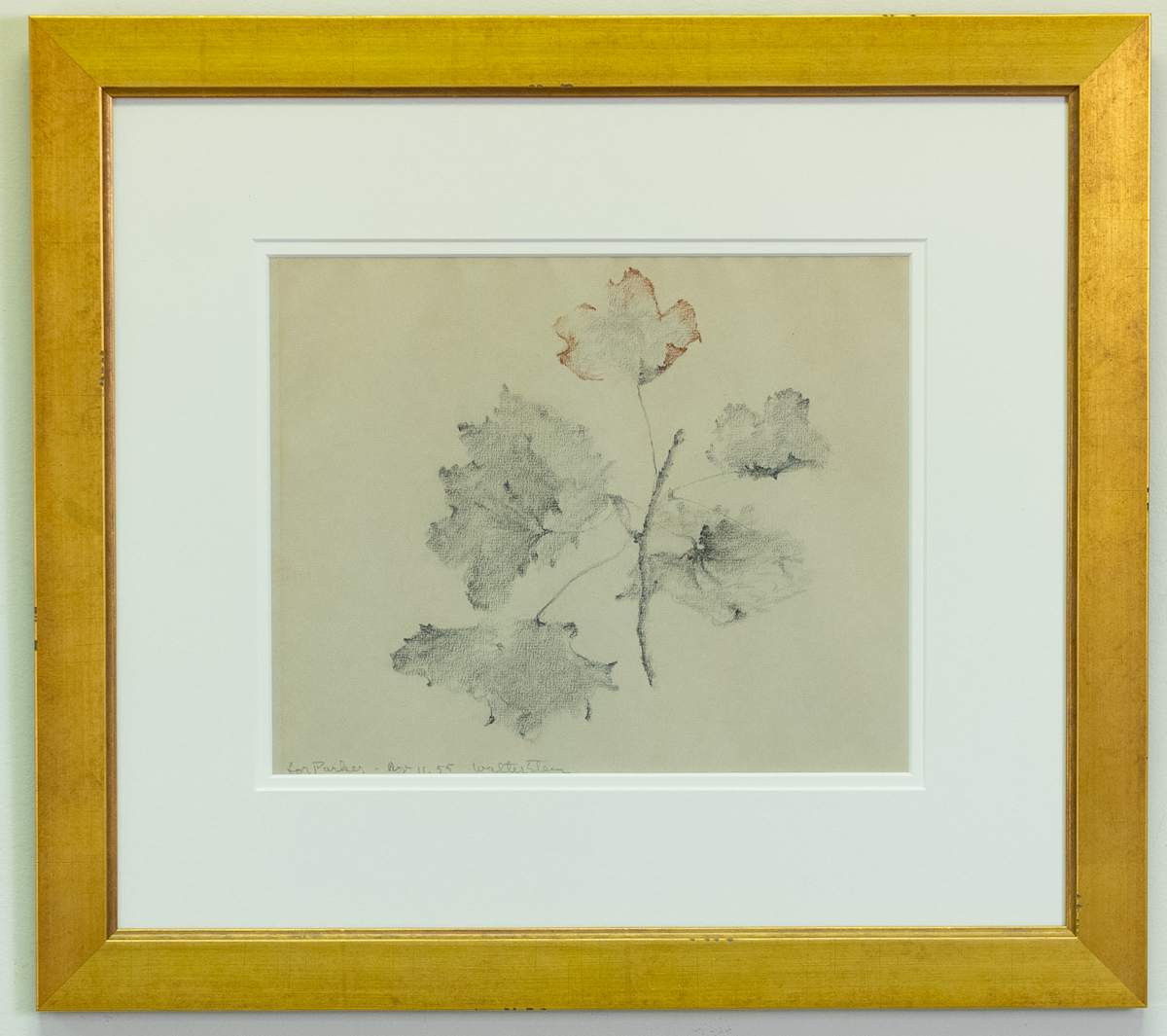 Leaf Study by Walter Stein 