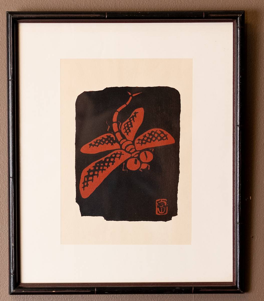 Untitled (Brown fly) by Unknown 