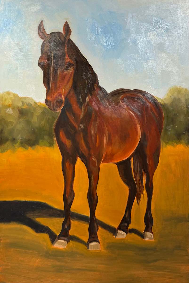 POV: you just walked up to this horse in a field and she gets it by Kelly Kirkby 