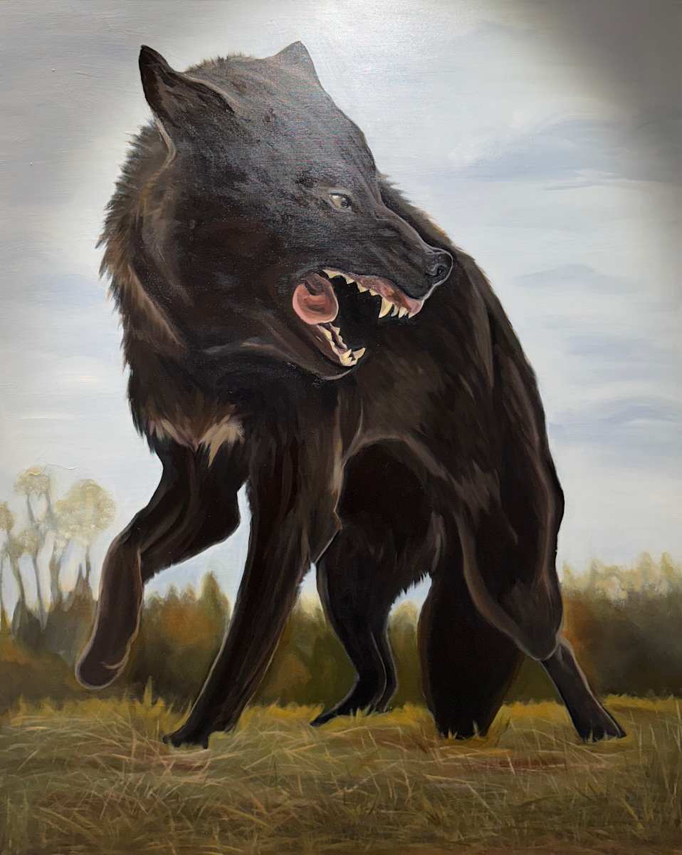 Nothing to Apologize For by Kelly Kirkby 