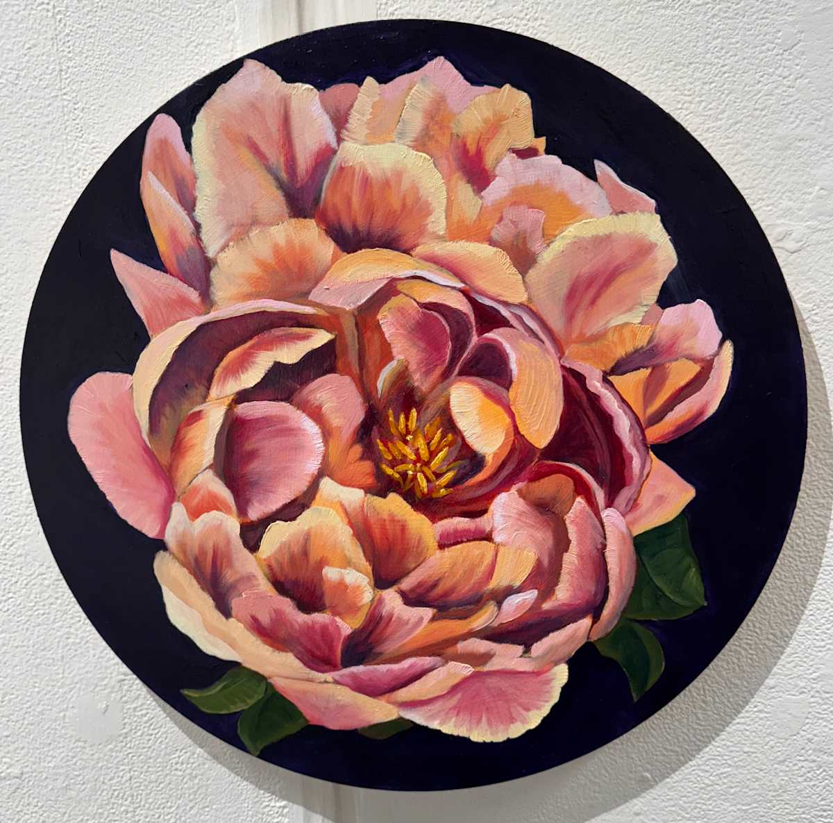 Proof of Softness by Kelly Kirkby, Image 1.