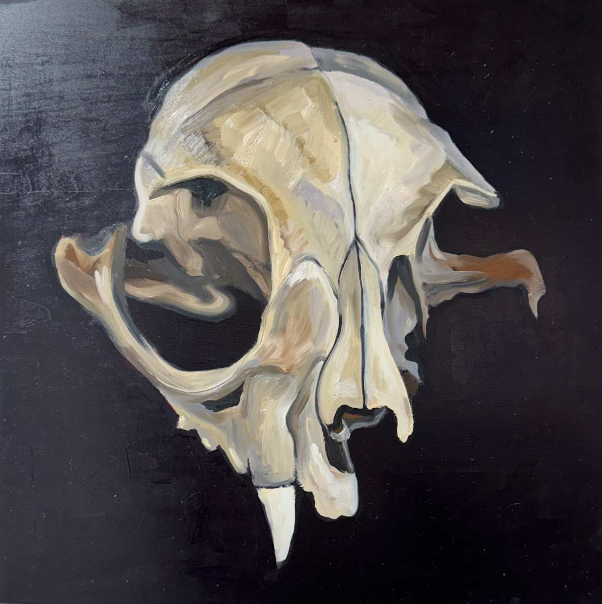 Everything That Ever Was, Still Is by Kelly Kirkby 