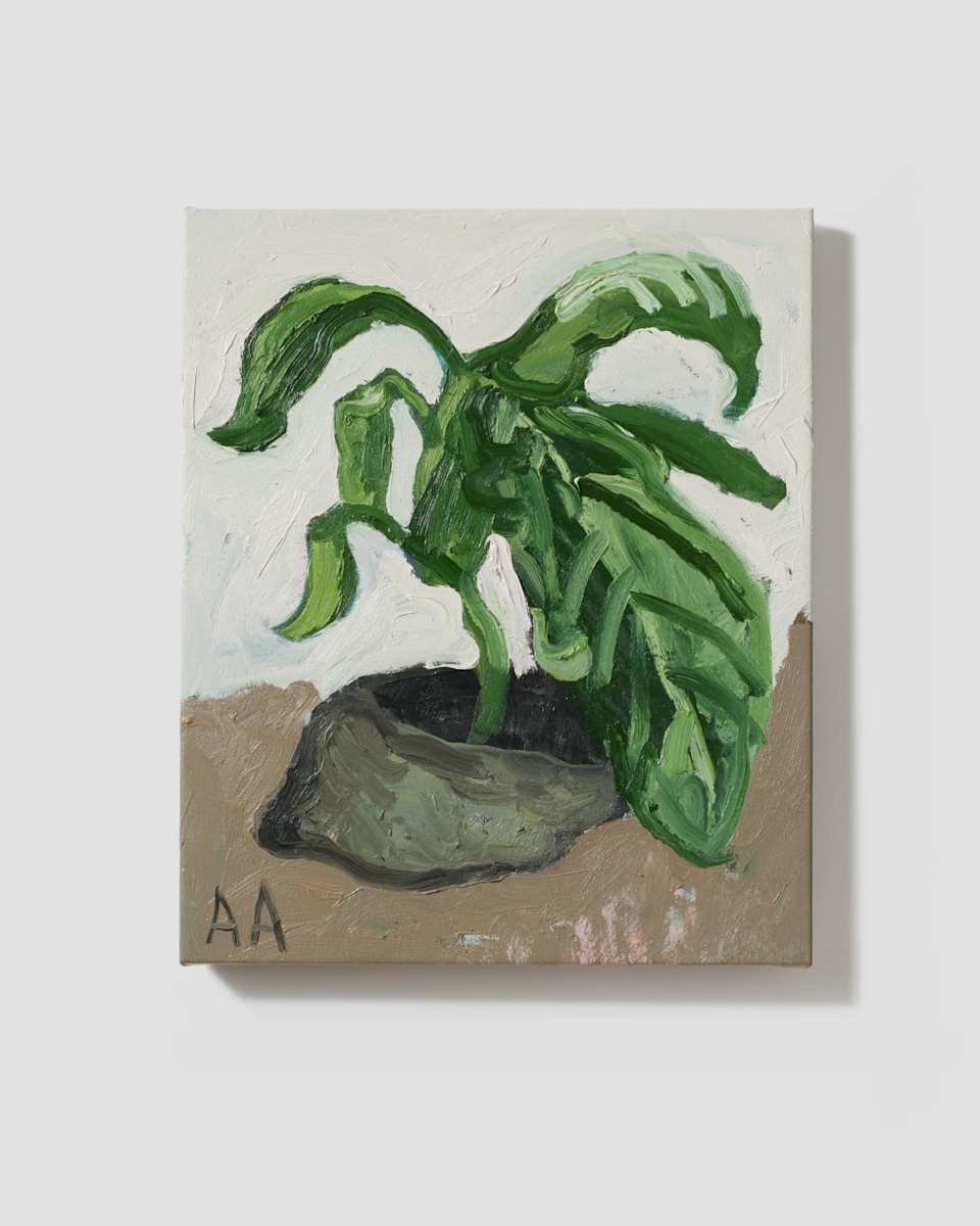 House Plant by andrew alba 