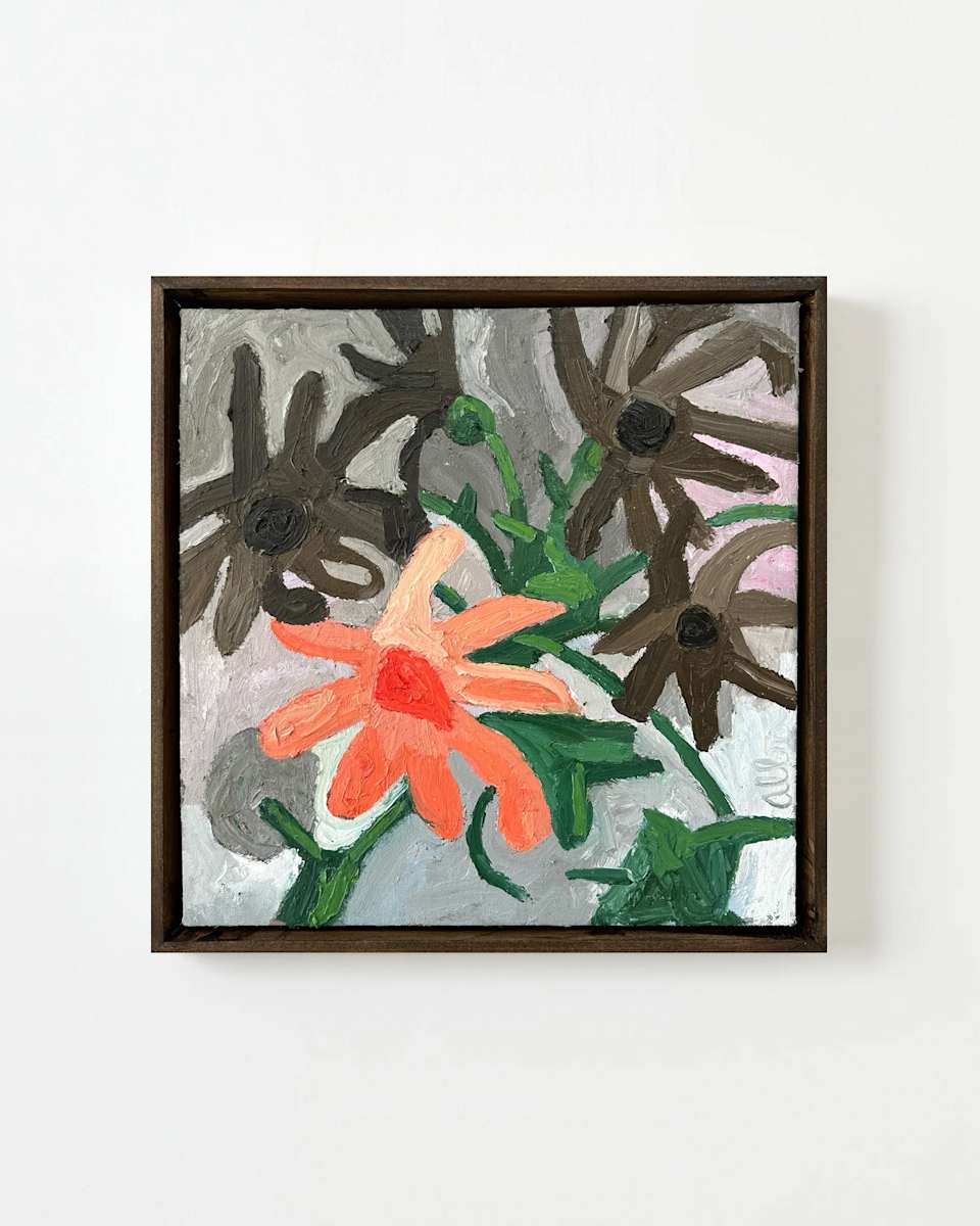 Brown Flowers by andrew alba, Image 1.