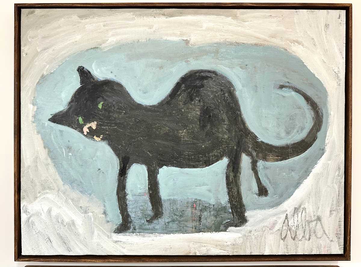 Gato by andrew alba, Image 1.