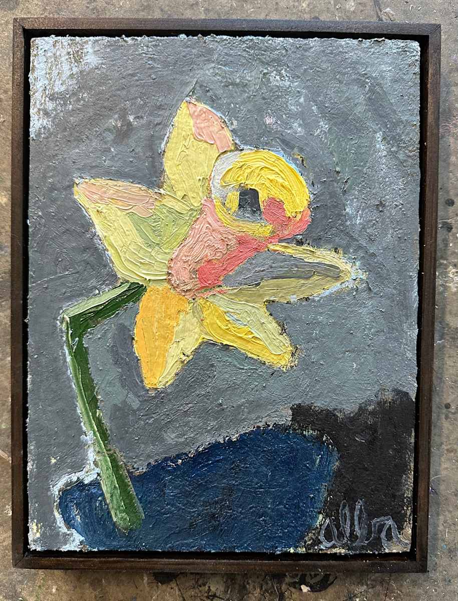 Daffodil by andrew alba 