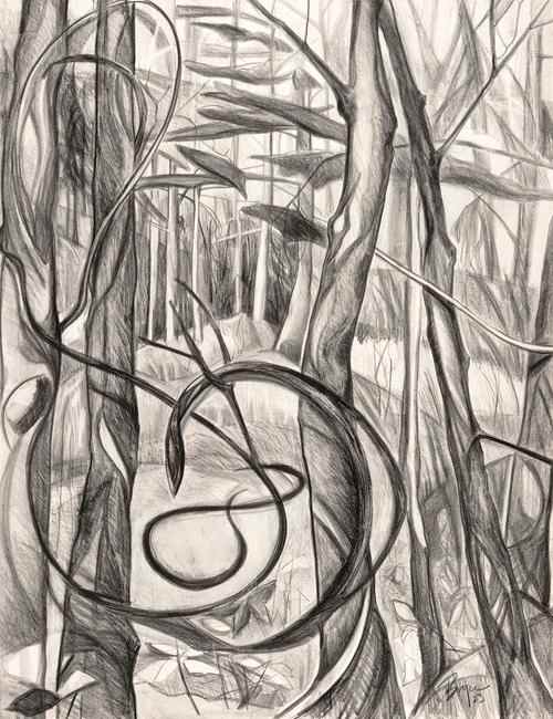 WOODS DWELLER by Phyllis Bryce Ely  Image: Plein air drawing of the woods outside my residency studio at the Saltonstall Foundation for the Arts in Ithaca, NY. Look closely middle left -- there's a woodpecker on a tree. He is the woods dweller.