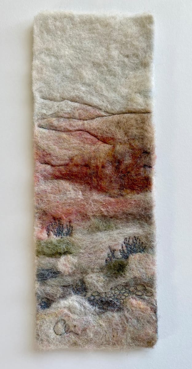 Desert Stillness by Claire Astra MacKenzie 