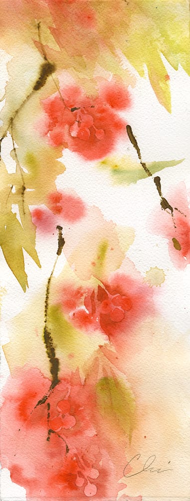 Rowan Berries 2 by Claire Astra MacKenzie 