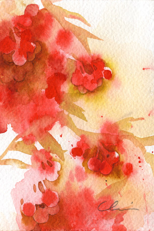 Rowan Berries 1 by Claire Astra MacKenzie 