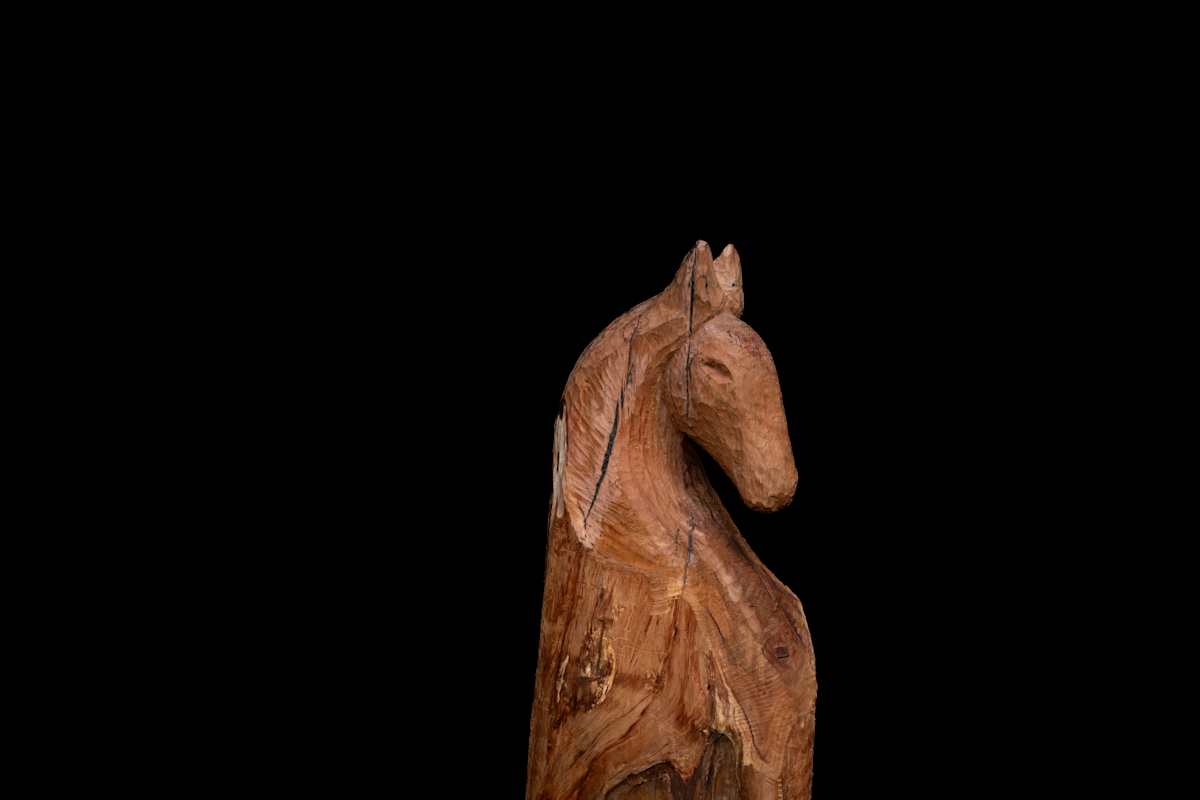 Horse by David Puustinen 