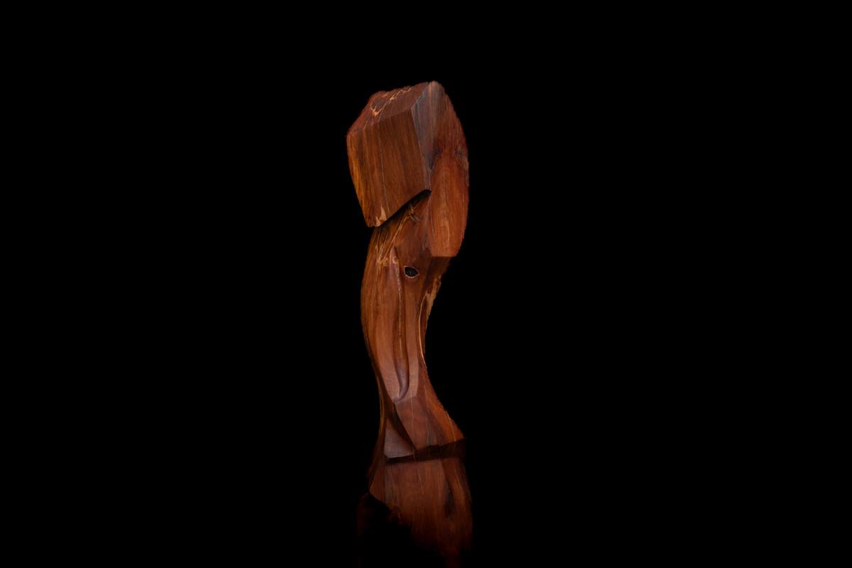‘Protector' by David Puustinen, Image 1.