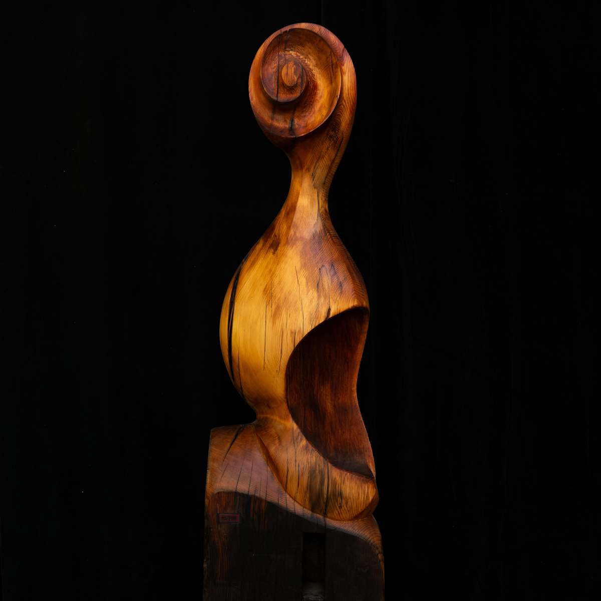 Sound Shell by David Puustinen, Image 2.