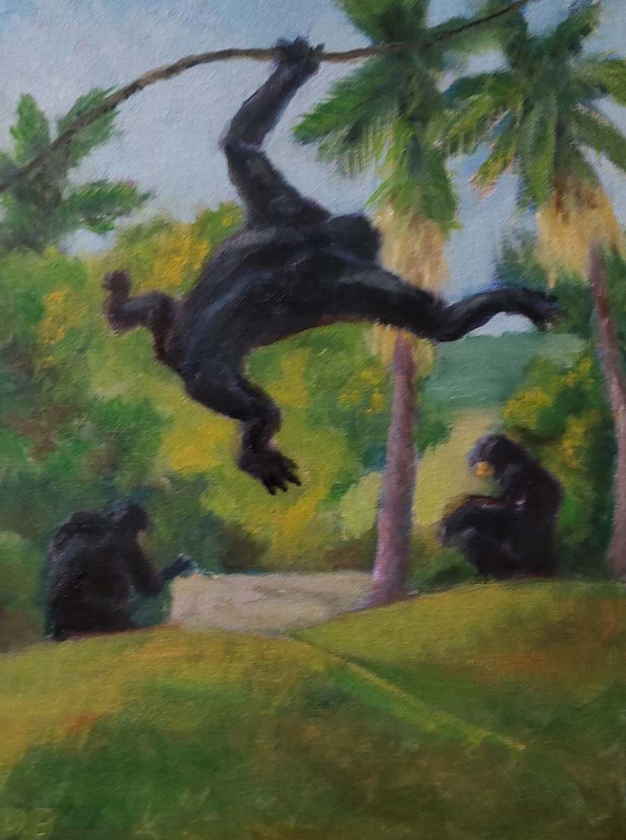 Apex by David L Boucher  Image: Apex: Chimpanzees at the Baton Rouge Zoo, in a more natural setting.