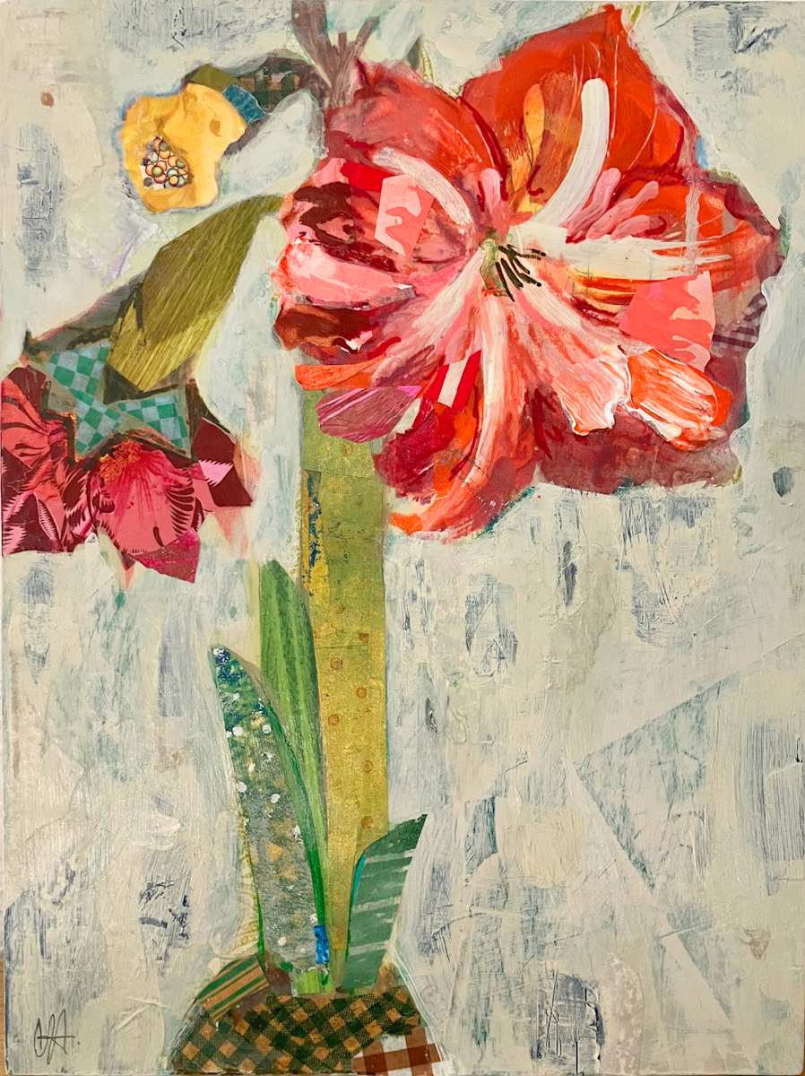 Amaryllis by Carolyn Holman 
