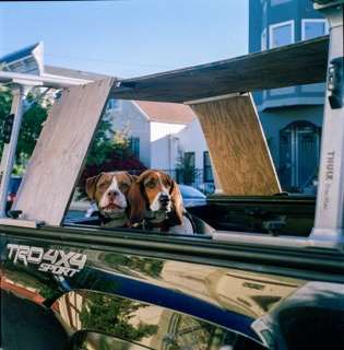 Puppies & Pickups by Najee Tobin 