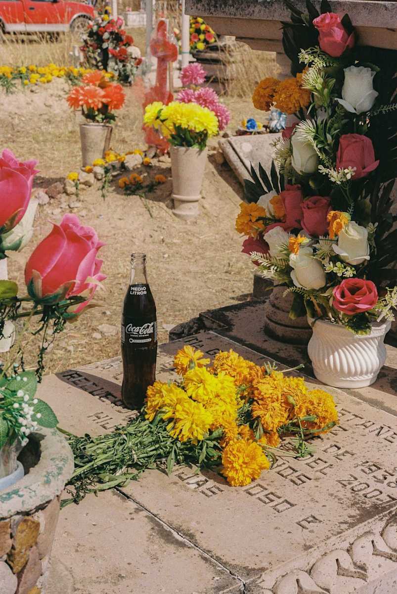 Membranza (Remembrance) by Viridiana 