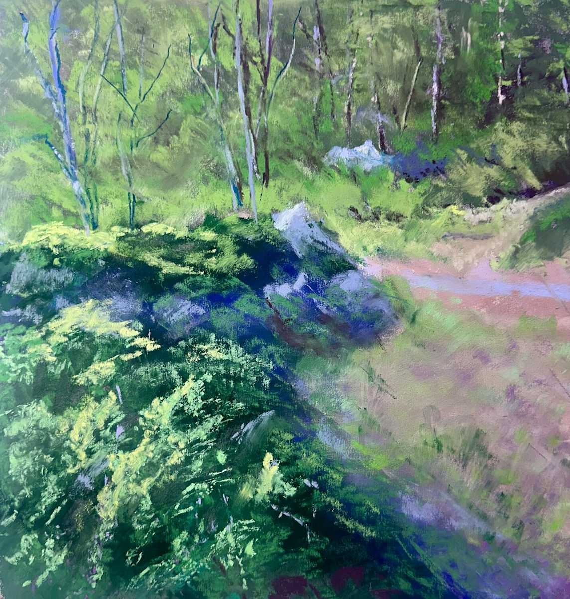 Trail Side Textures by Dawn M Capron, Image 1.