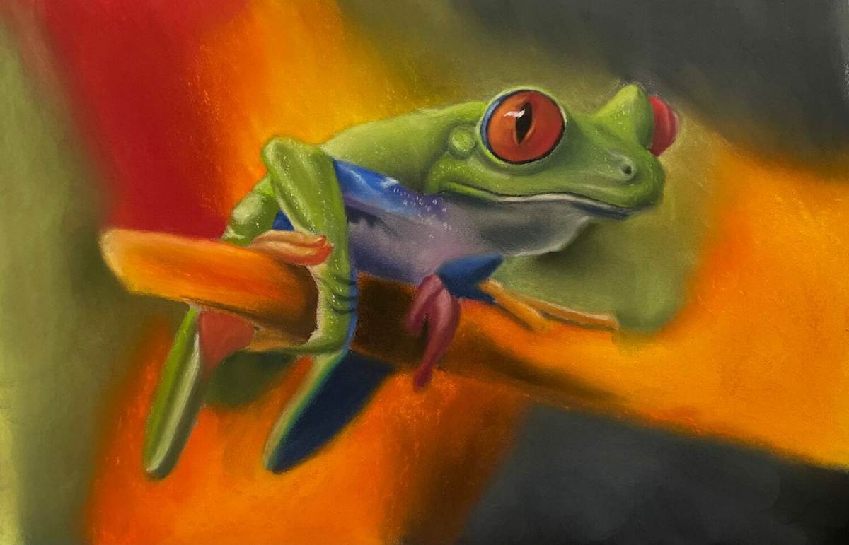 Trippy Frog by Jonathan Clingenpeel 