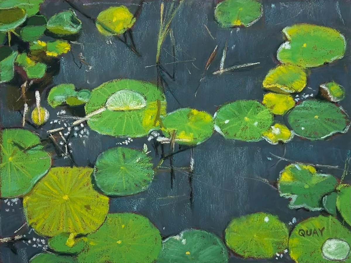 Lily Pads by Heather Quay 