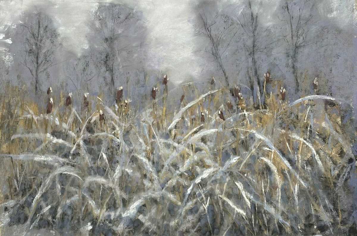 Shades of Winter by Michelle R Spencer 