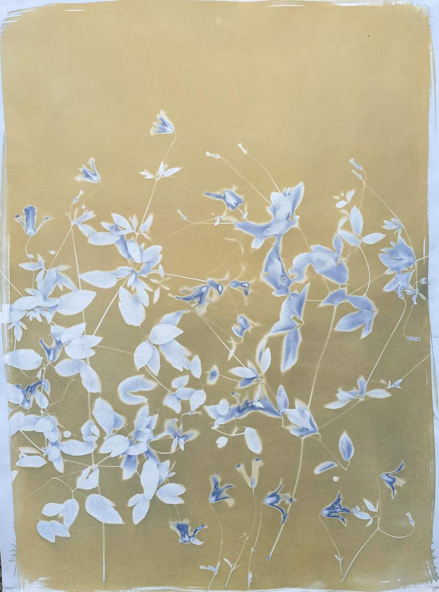 Glamor by Sri Thumati, Image 1.