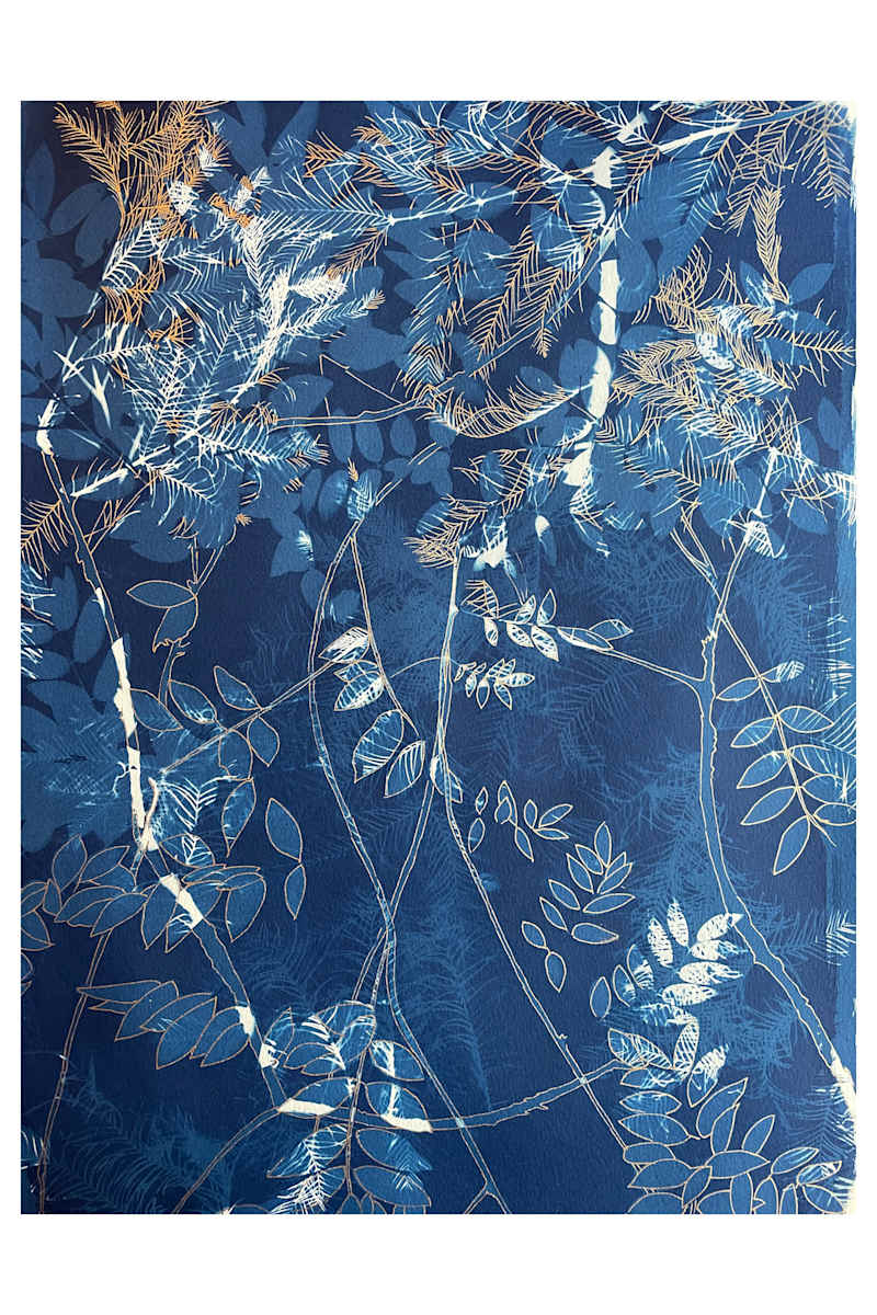 Carpet Nap by Sri Thumati 