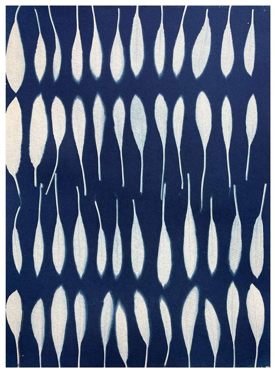 Out of the Weeds by Sri Thumati 