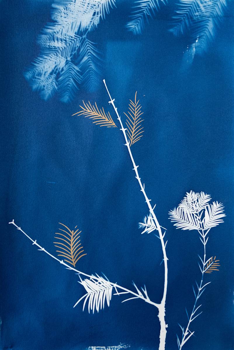 Minimalist 2 by Sri Thumati, Image 21.