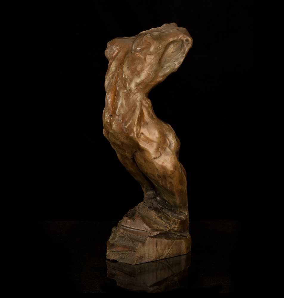 Cayuse by Rive Nestor, Image 1.