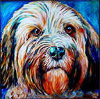 Bailey by Rive Nestor, Image 1.