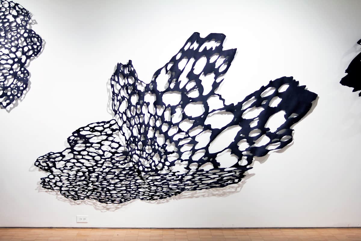 Exploding Lace View #2 by Lizz Aston 