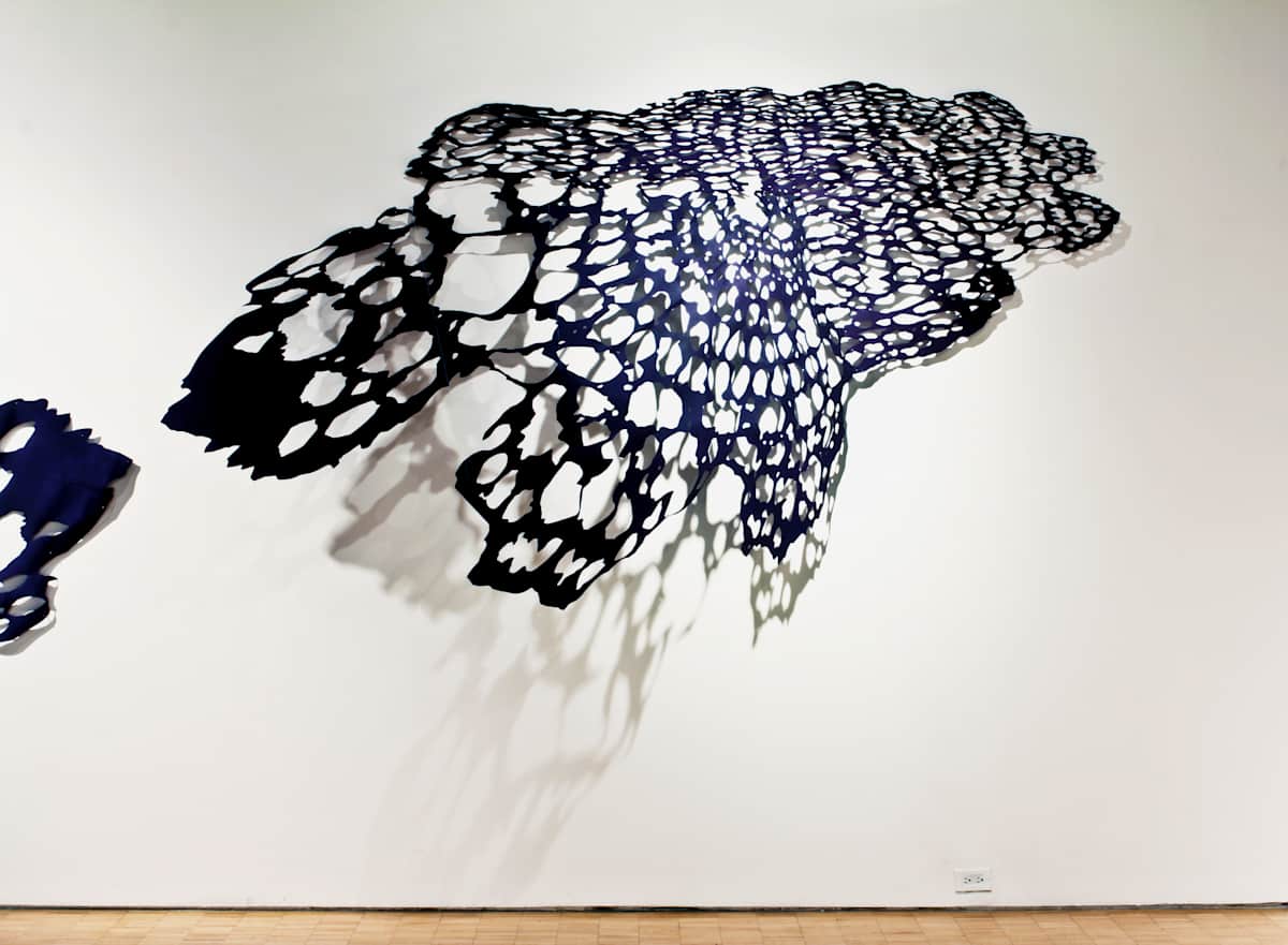 Exploding Lace View #1 by Lizz Aston 