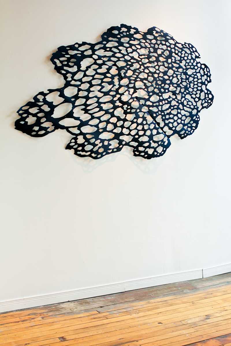 Exploding Lace View #3 (Small) by Lizz Aston 