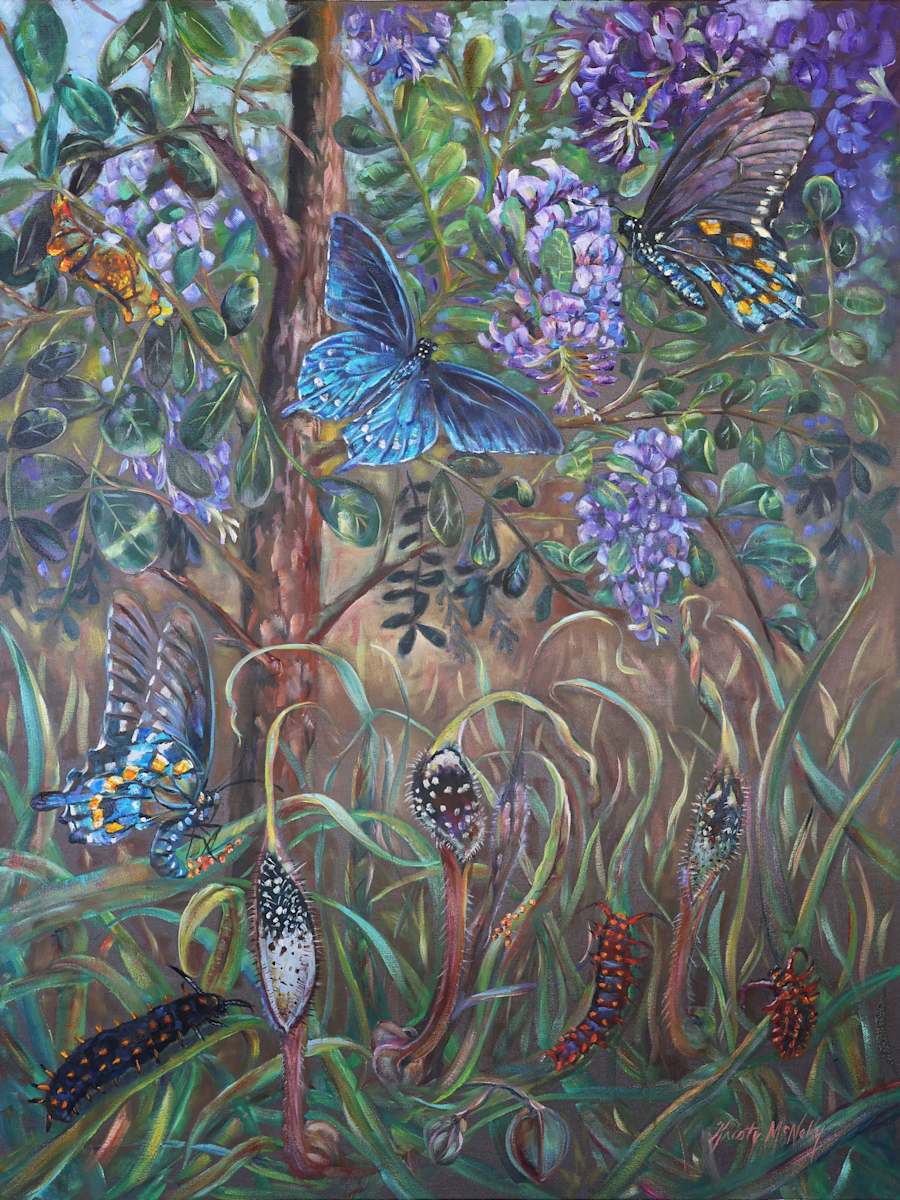Pipevine Swallowtail Jig by Kristy McNelly, Image 1.
