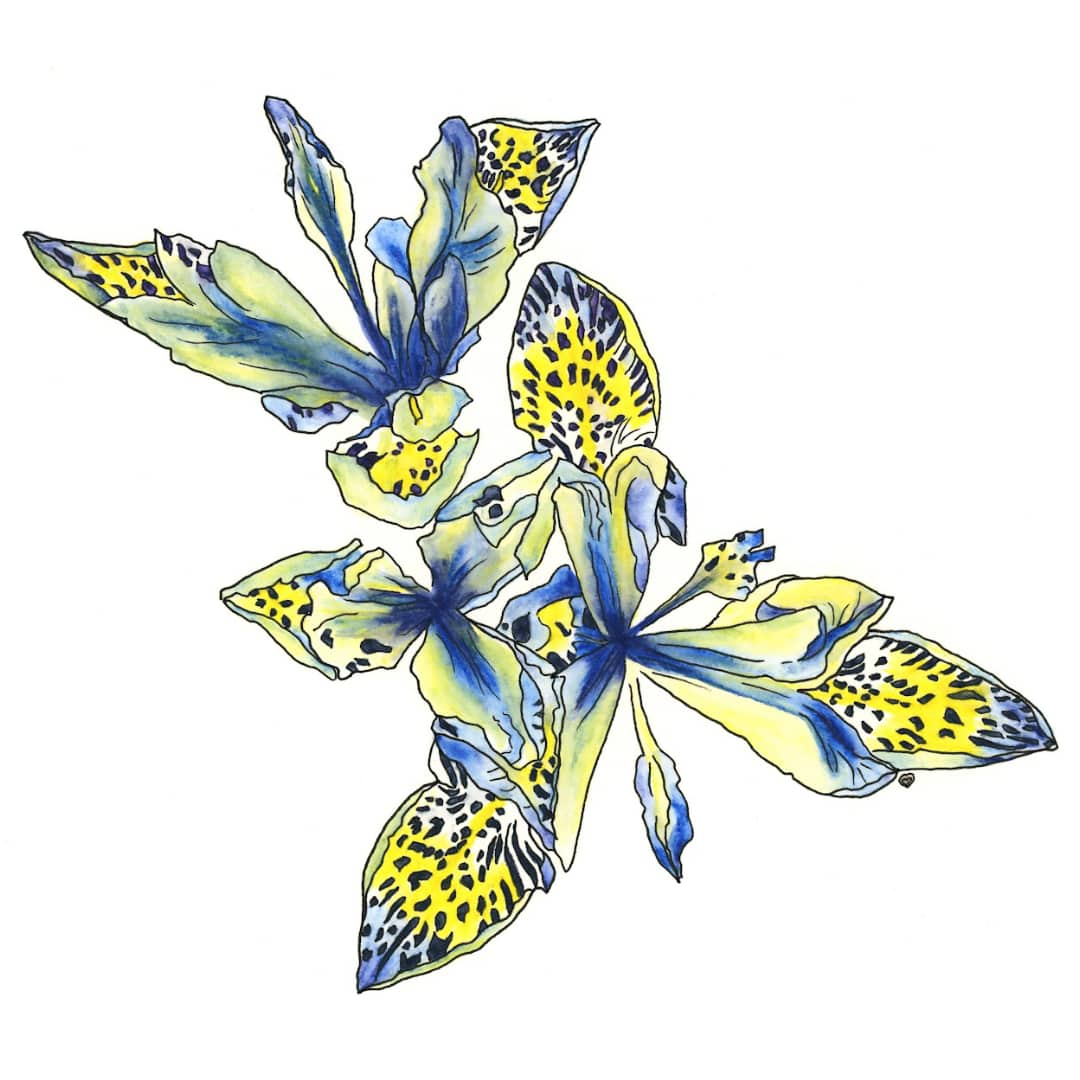 Harmonious Relationship by Phylinda Moore 