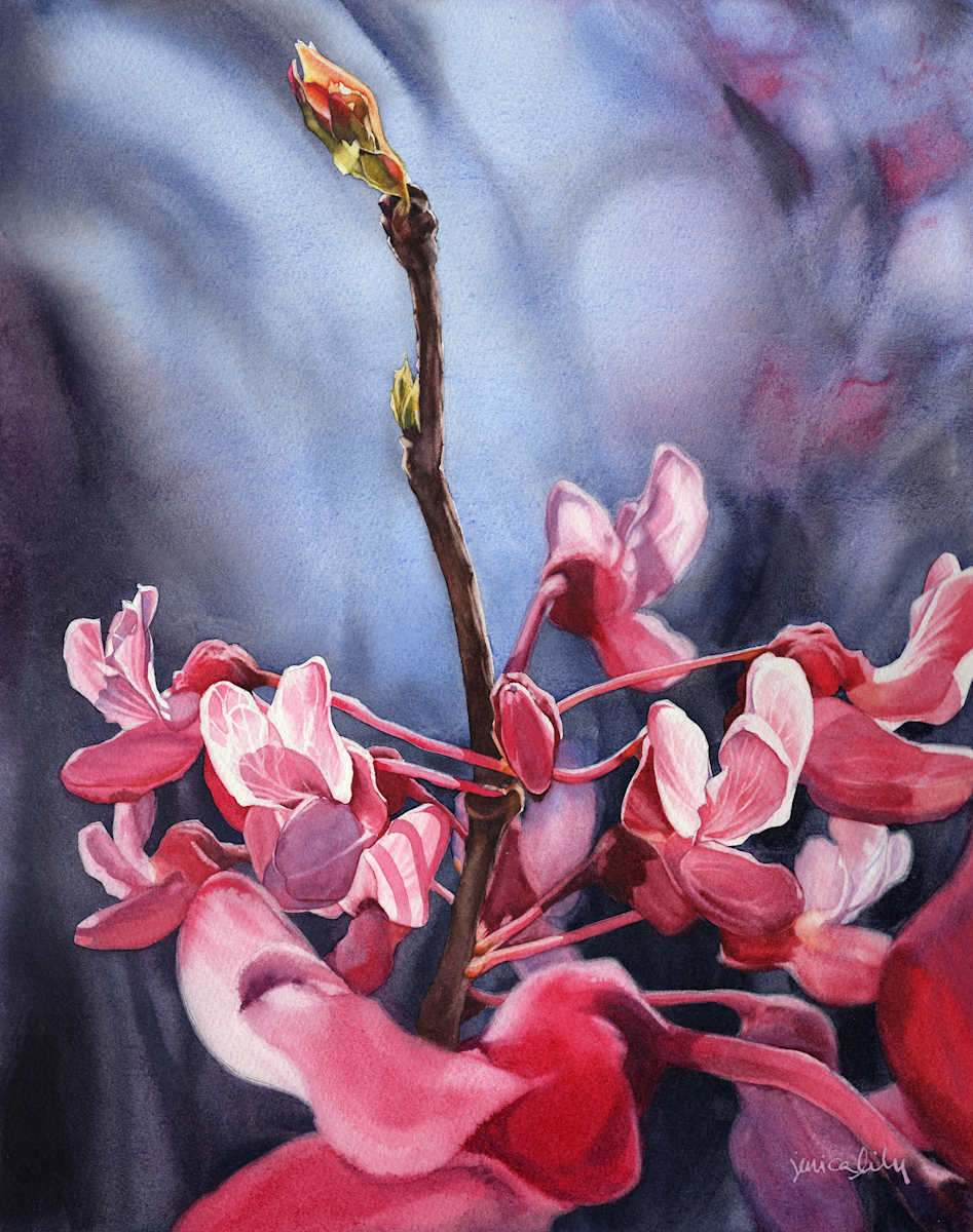 Redbud Rising by Jessica Lily, Image 1.