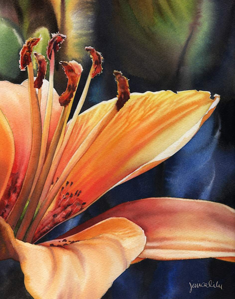 Tiger Lily Study by Jessica Lily, Image 1.