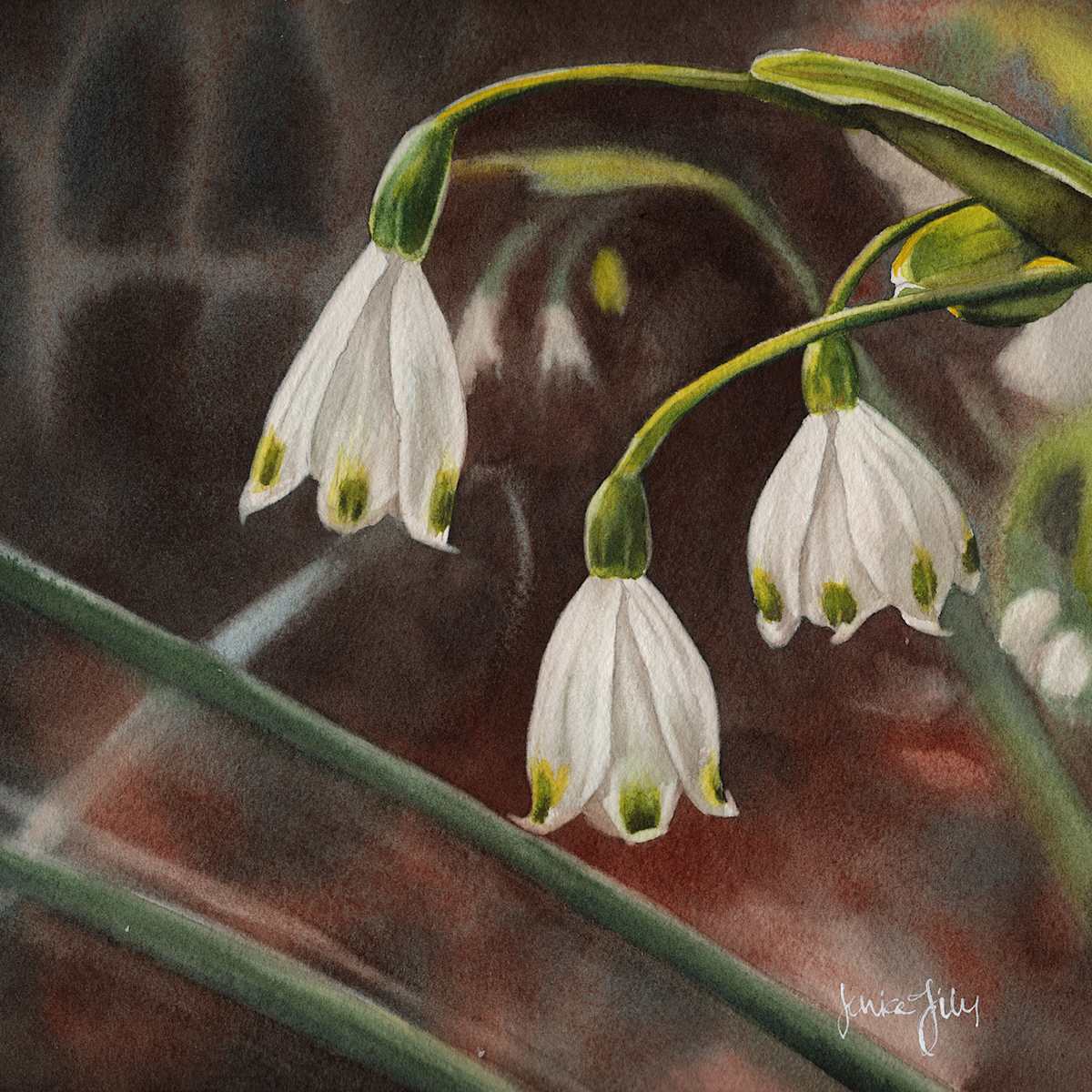 Snowdrops Study by Jessica Lily 