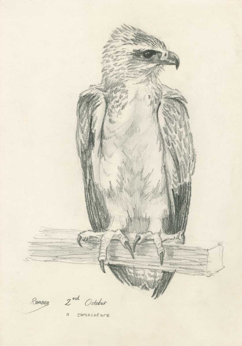 Ramsey cariacature by RAG Davies 