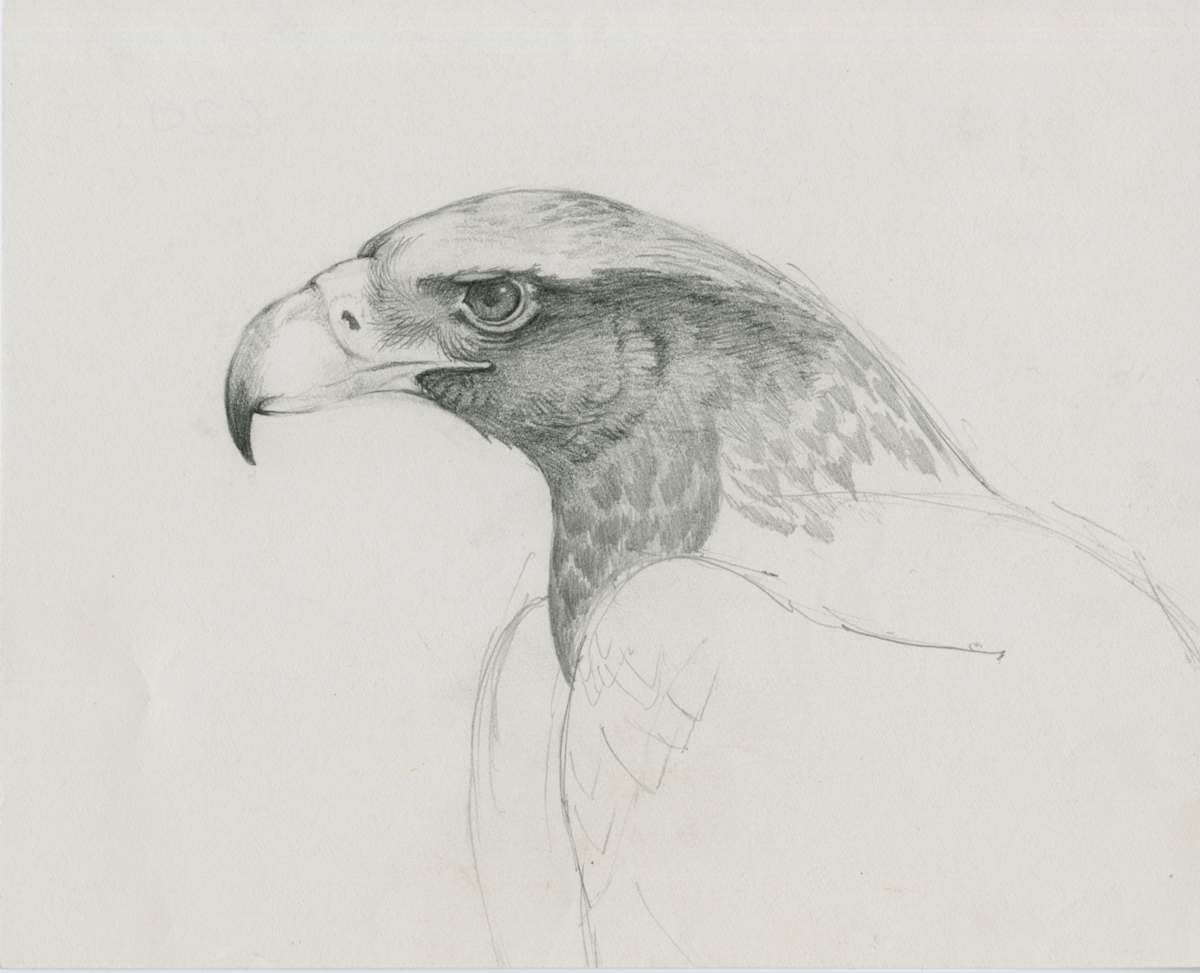 sam head detail by RAG Davies, Image 2.