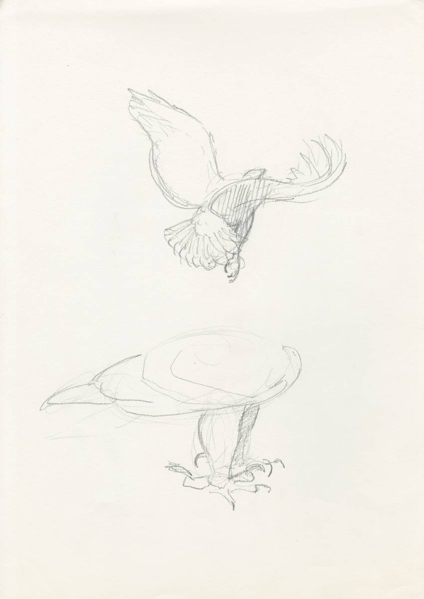 Samburu Wings - take-off by RAG Davies, Image 2.