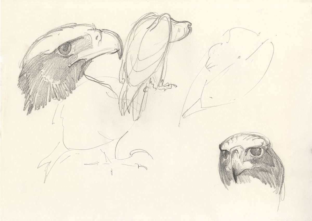 Sam various sketches by RAG Davies, Image 2.