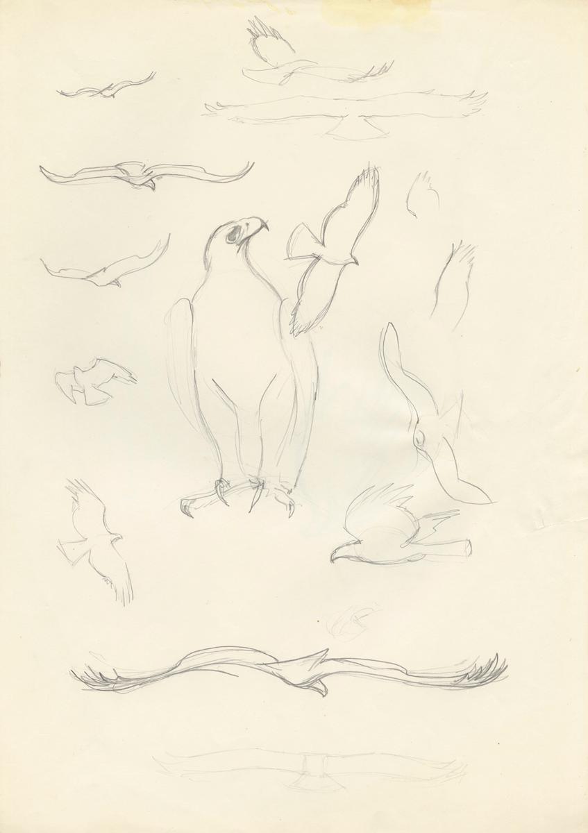 Sam outlines by RAG Davies, Image 1.