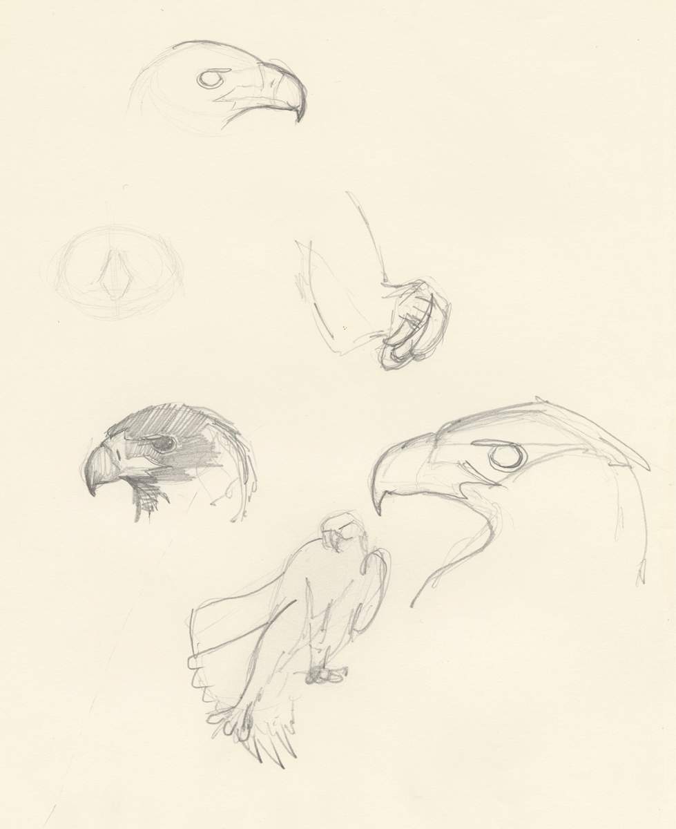 Sam's foot exercises by RAG Davies, Image 1.