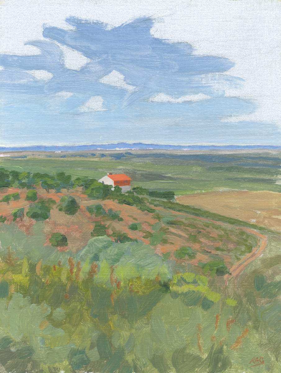 From Sierra de San Pedro, near Aliseda by RAG Davies 