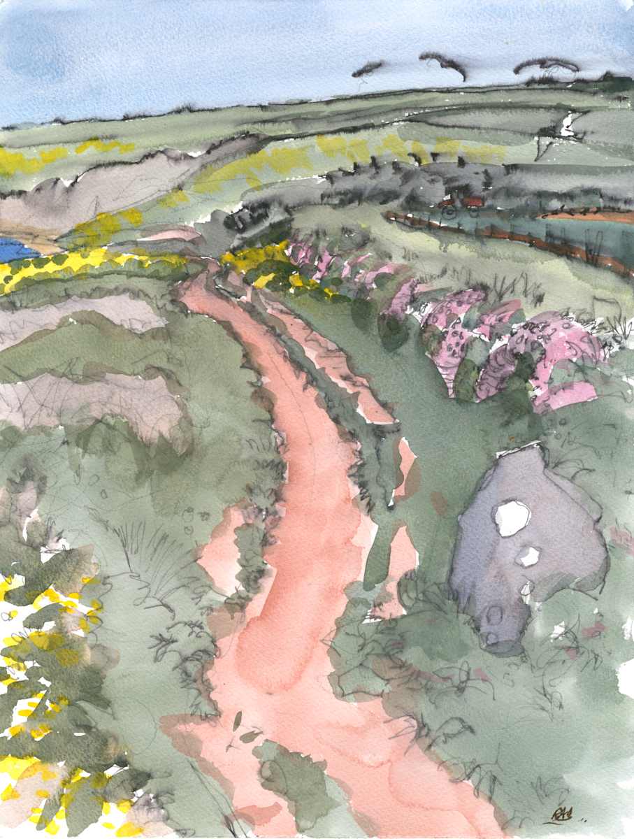 Llanunwas Coastal Path by RAG Davies 