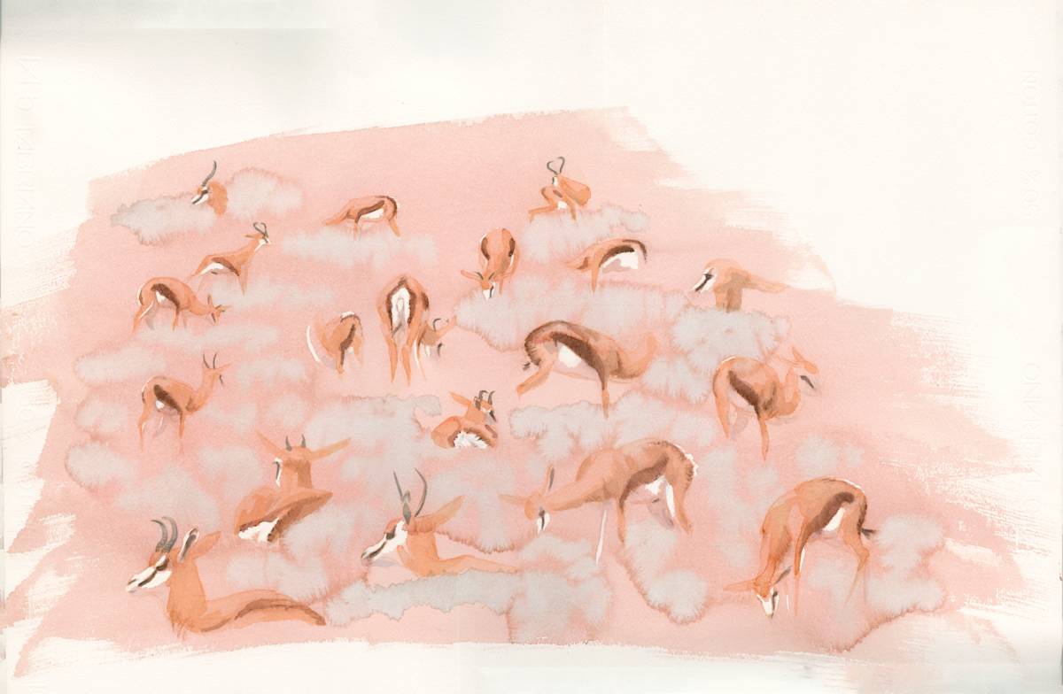Springbok Frieze by RAG Davies 
