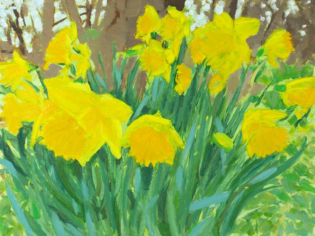 Spring Daffodils by RAG Davies 