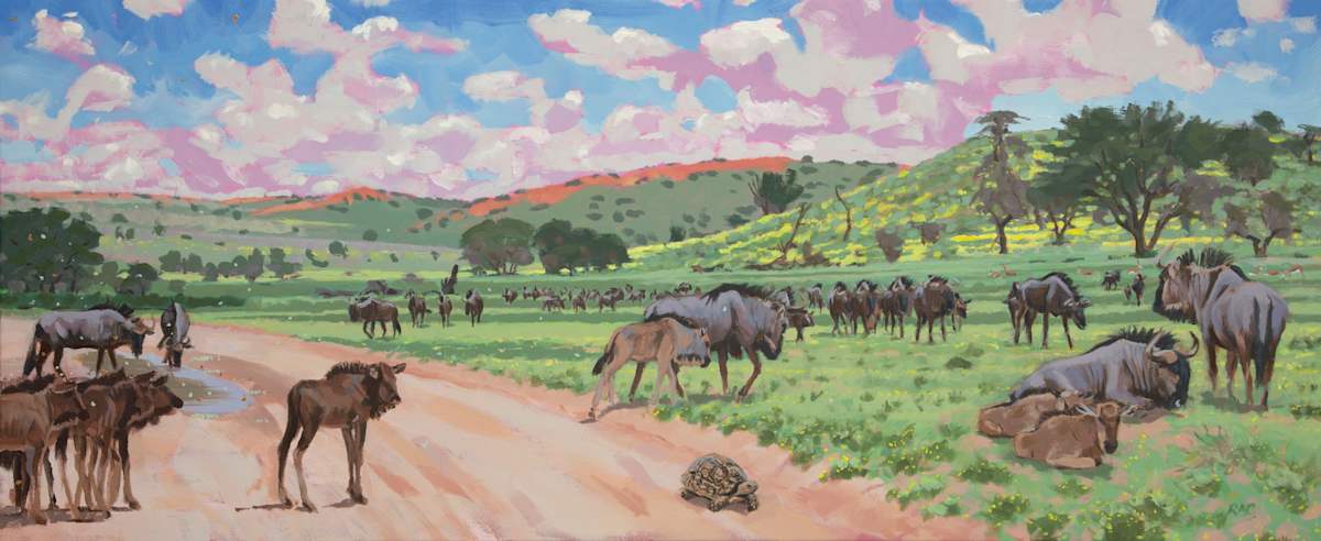 Green Kalahari by RAG Davies  Image: Kalahari after rains, February 2025